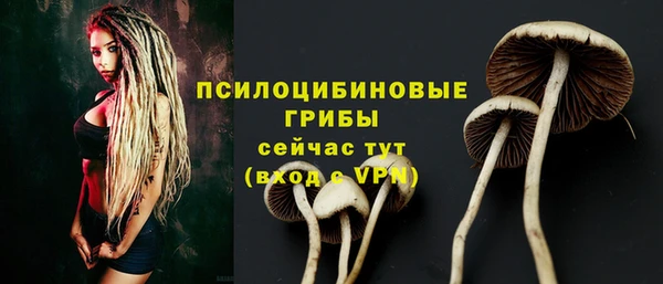 мдпв Кинешма