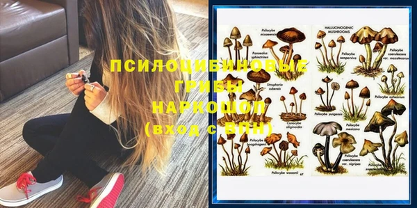 mdpv Киреевск