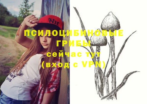 мдпв Кинешма