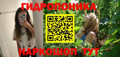 СК Канаш