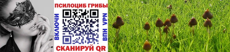 OMG ТОР  Нефтеюганск  Псилоцибиновые грибы Cubensis 