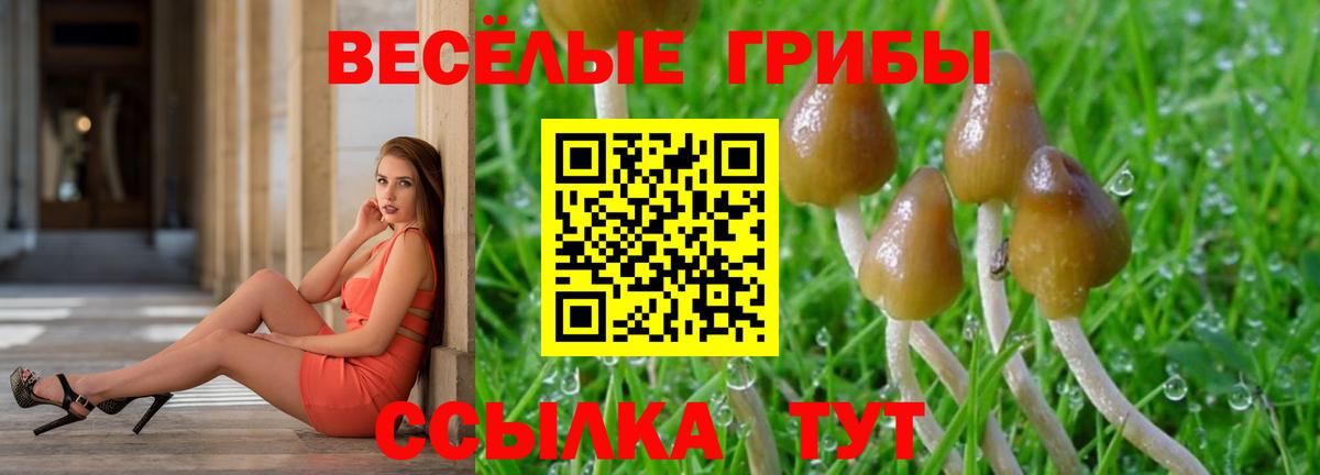 Псилоцибиновые грибы мицелий Нефтеюганск